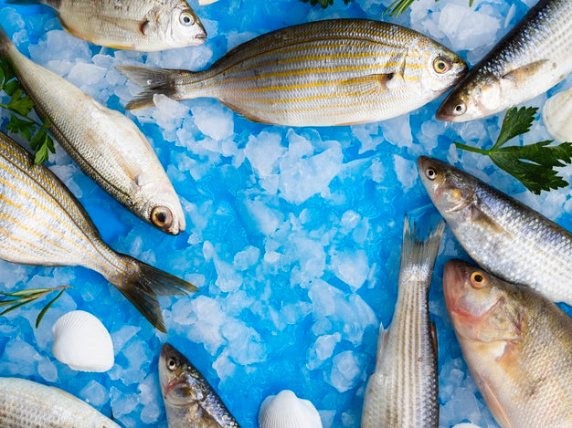 5 astuces pour connaitre si votre poisson est bien frais