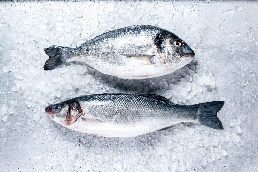 Astuces pour bien conserver votre poisson