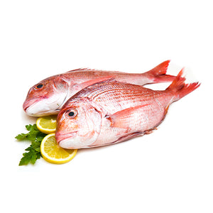 Samaki | Livraison poisson frais Casablanca | Pageot