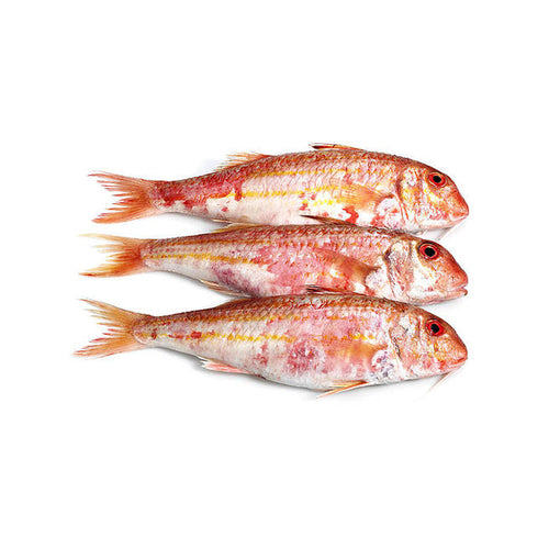 Samaki | Poissonnier en ligne Casablanca | Rouget | Livraison à domicile