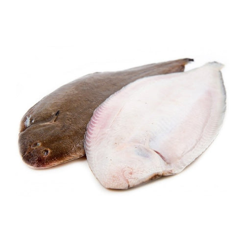 Samaki | poissonnerie Casablanca | Sole Royale